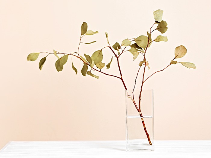 Complement contemporary décor with a single branch in a rectangular vase.